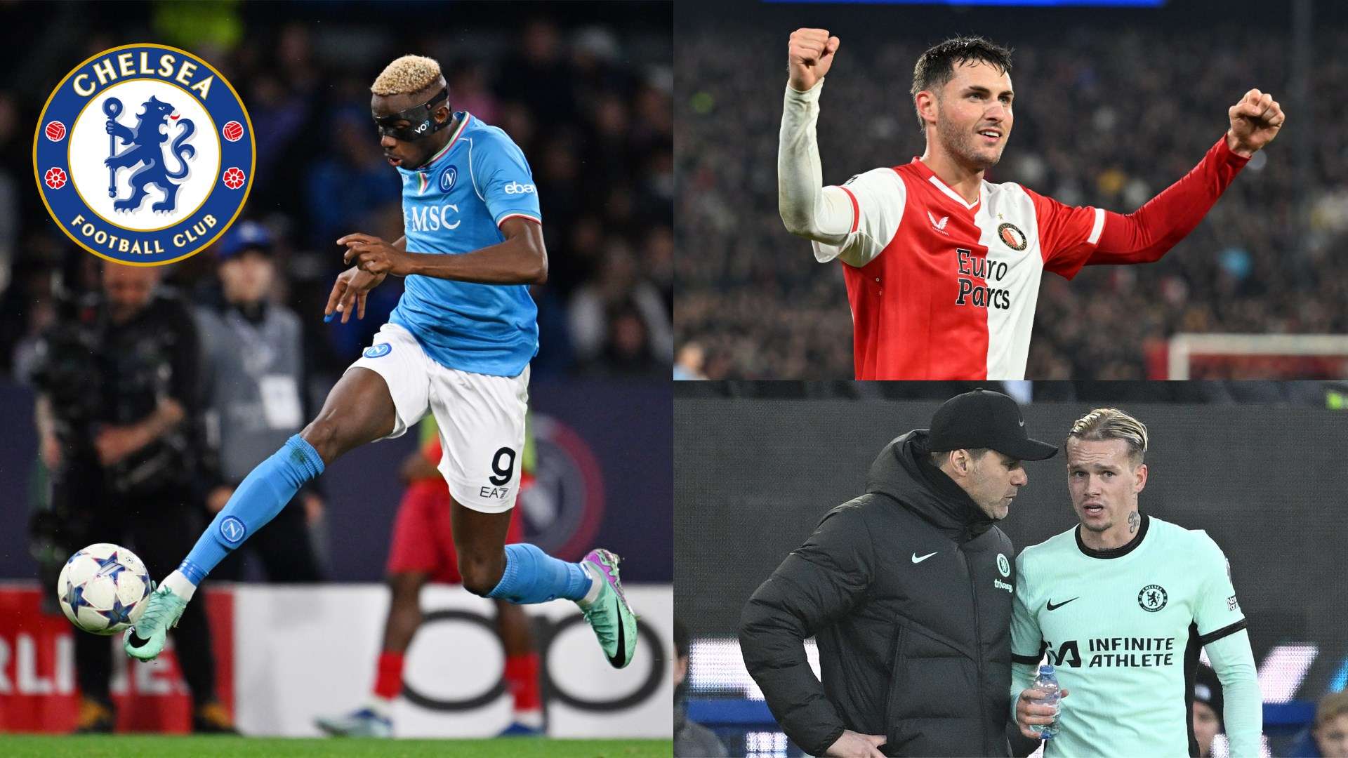 背后的努力 背后的努力